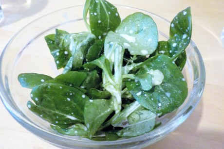 Vogerlsalat mit Rahmdressing