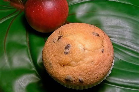 Schoko-Nektarinen-Muffins