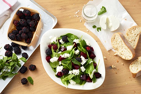 Insalata Deliziosa
