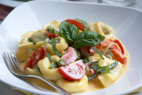Tortellini in Joghurtsauce