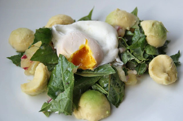 Salat aus Kartoffeln, Löwenzahn und Avocado