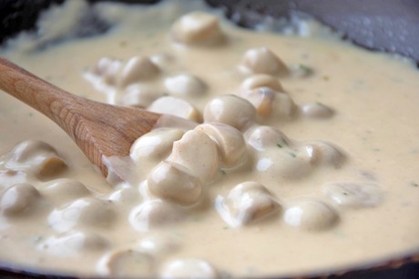 Champignonsauce