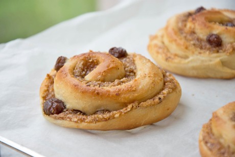Puddingschnecken