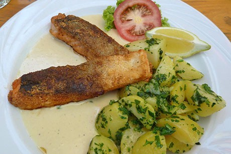 Lachs mit Weißweinsoße