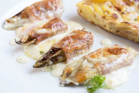 Gebackener Chicoree mit Schinken