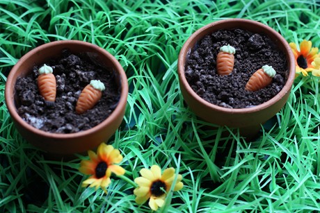 Blumenerde im Topf