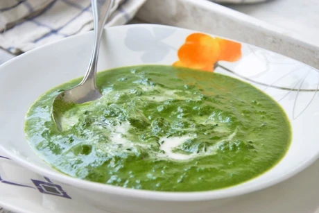 Spinatsuppe