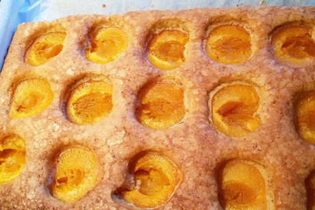Marillenkuchen