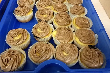 Schokoladen-Muffins