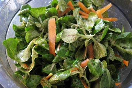 Vogerlsalat mit Karotten
