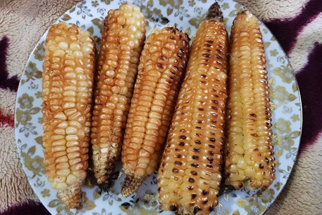 Gegrillte Maiskolben