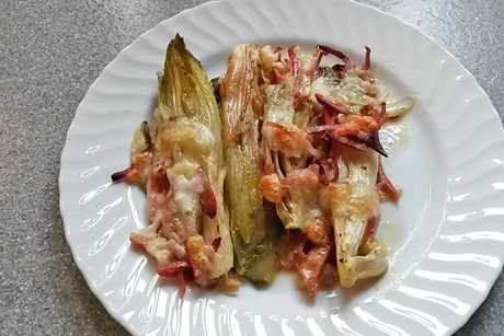 Überbackener Chicoree mit Käse