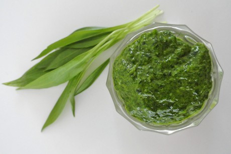 Frische Bärlauchpaste