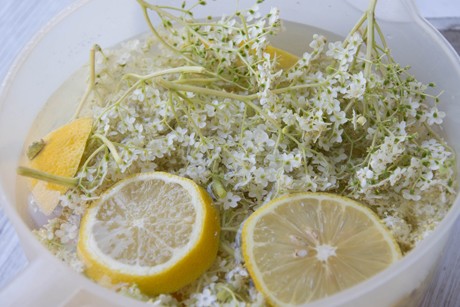 Holundersaft