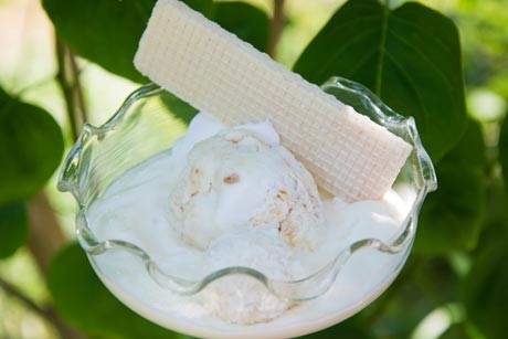 Eisdessert mit Kokos