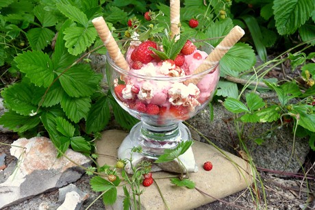 Erdbeereis auf Balsamico-Erdbeeren mit Erdbeer-Popcorn