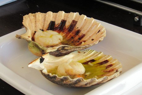 Gegrillte Jakobsmuscheln