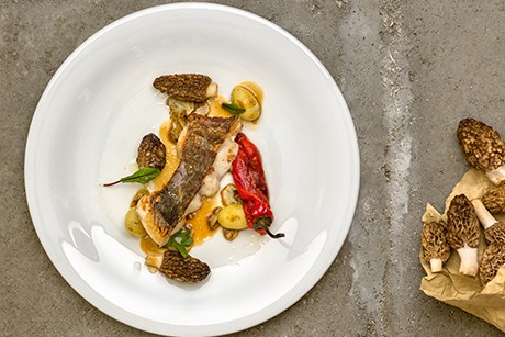 Gebratener Waller, Spitz-Morcheln & braune Butter