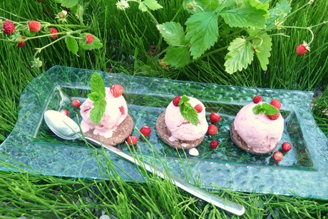 Haselnuss-Schoko-Kekse mit Erdbeereis