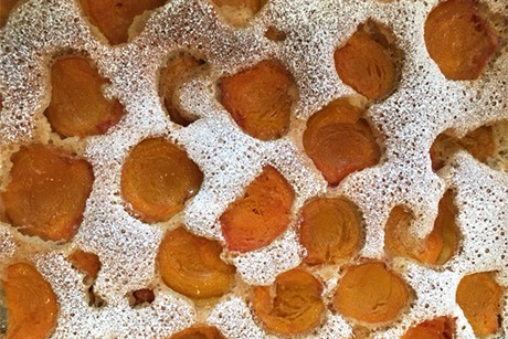 Schneller Marillenkuchen