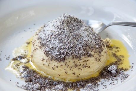 Powidlknödel mit Mohn