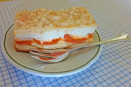 Topfen-Marillen-Kuchen
