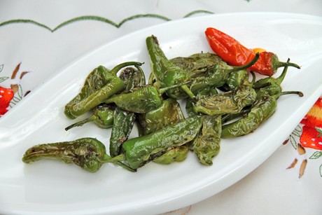 Bratpaprika in Knoblauchöl
