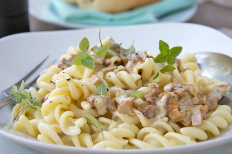 Pasta mit Pilzrahm-Sauce