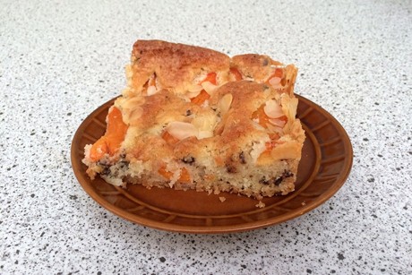 Marillenkuchen mit Schokoraspel