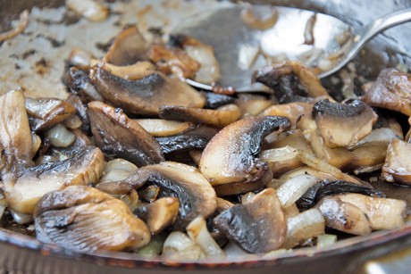 Gebratene Honig-Champignons