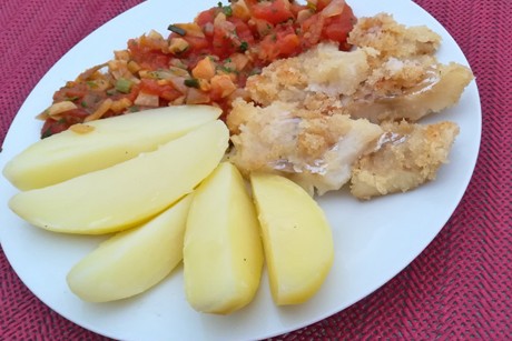 Kabeljau in Ratatouillesauce