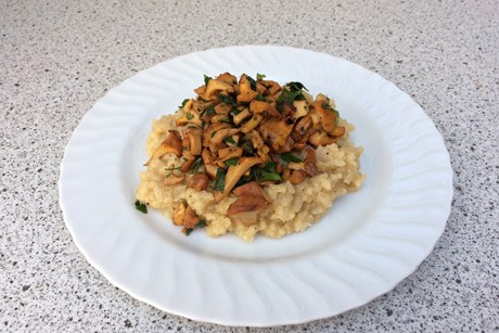 Risotto mit Eierschwammerln