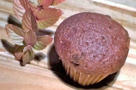 Schokoladen-Muffins