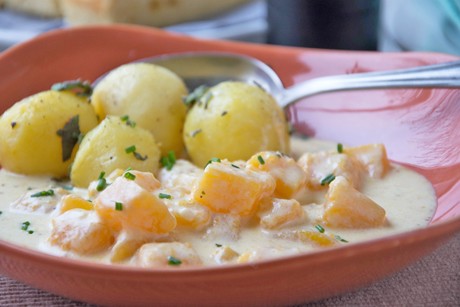 Ölkürbis in Gorgonzolasauce