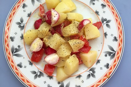 Erdäpfelsalat mit Paprika und Radieschen