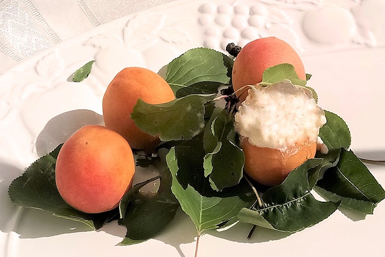 Marillen-Joghurt-Eiscreme