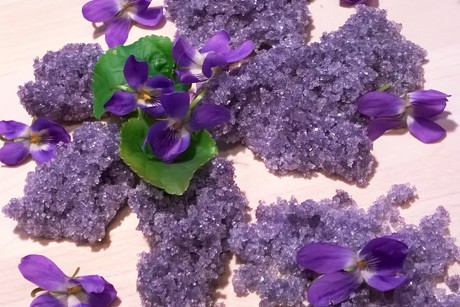 Großmutters Veilchenzucker