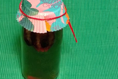 Kratzbeeren Saft