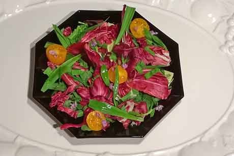 Spitzwegerich Salat mit Radicchio