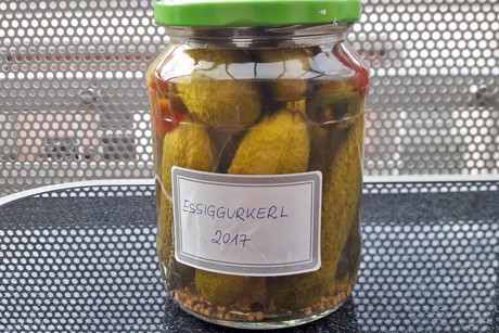 Essig-Gurkerl