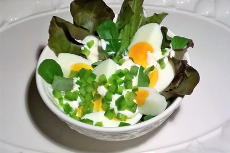 Eiersalat mit grünem Paprika auf rotem Pflücksalat