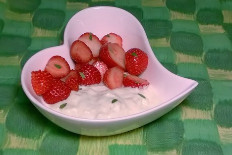 Erdbeeren-Waldmeister-Joghurt