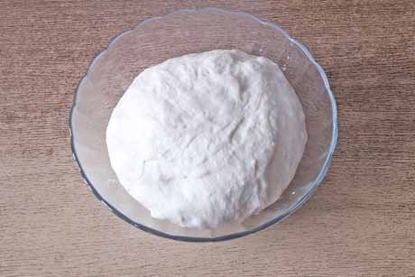 Germteig