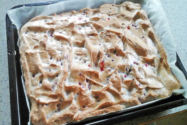 Ribiselkuchen