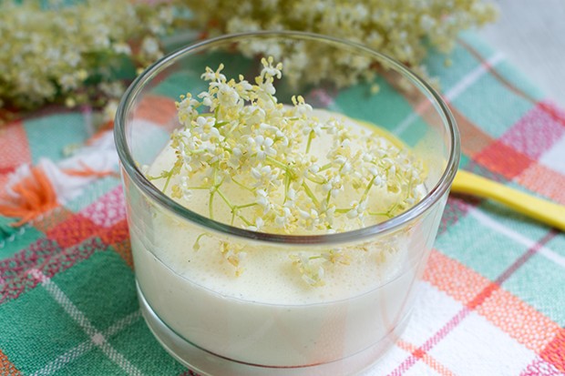 Holunderblüten-Panna-Cotta