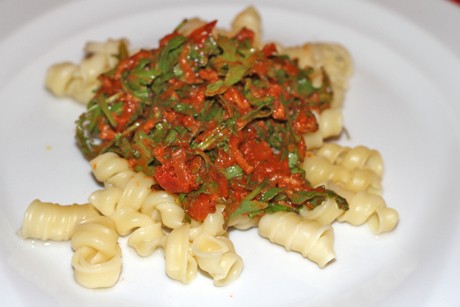 Bolognese mit Rucola