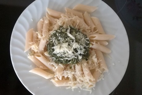 Penne mit Bärlauchpesto