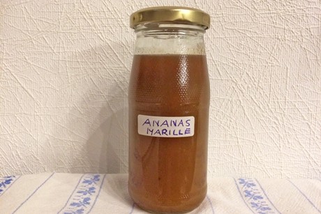 Marillen-Ananas-Marmelade