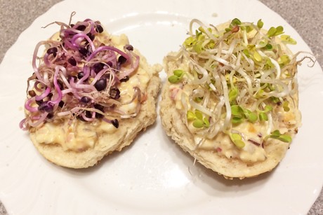 Schinkenaufstrichbrötchen mit Sprossen