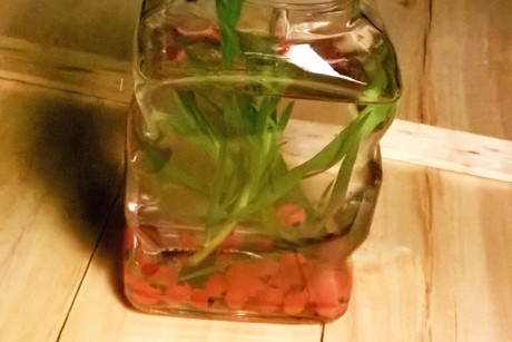 Detox Ribisel Estragonwasser